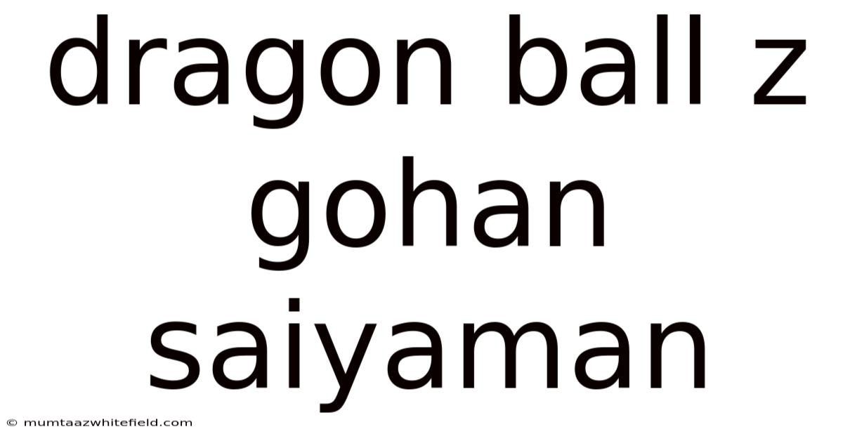 Dragon Ball Z Gohan Saiyaman