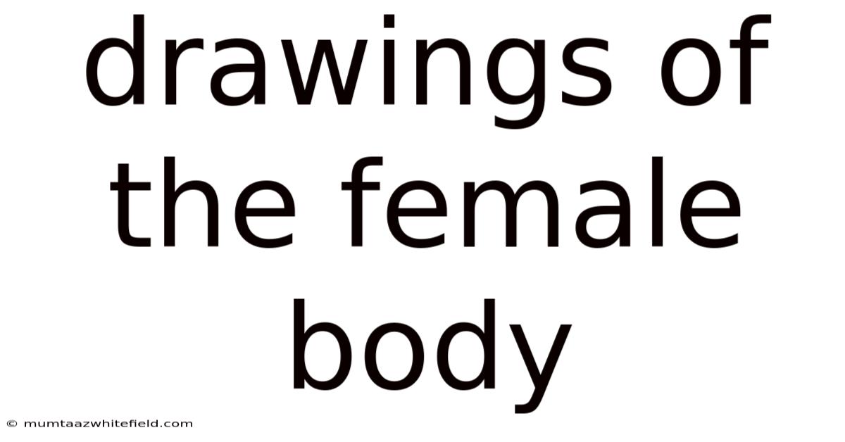 Drawings Of The Female Body
