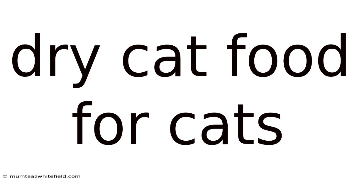 Dry Cat Food For Cats