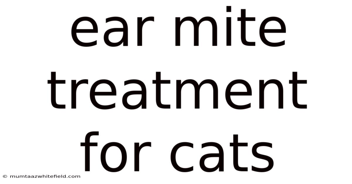 Ear Mite Treatment For Cats