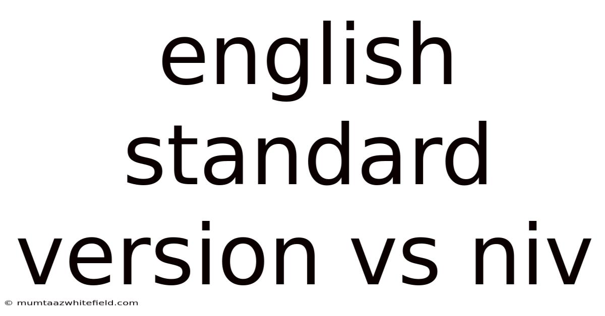 English Standard Version Vs Niv