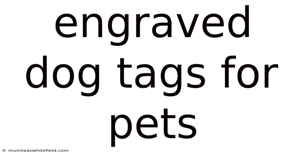 Engraved Dog Tags For Pets