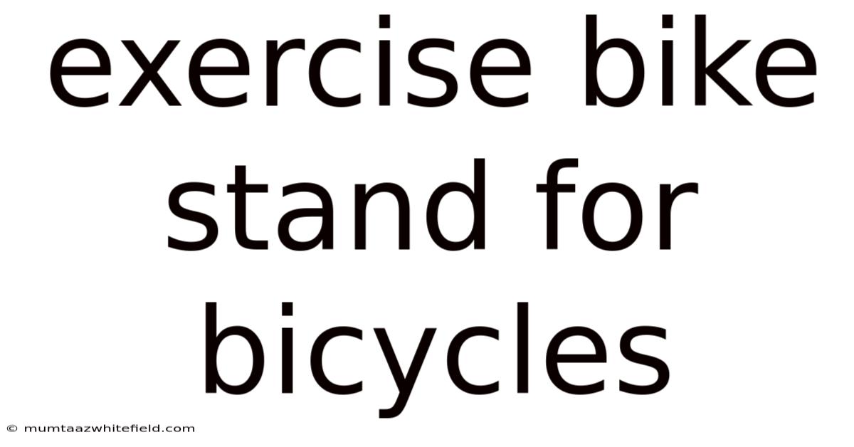 Exercise Bike Stand For Bicycles