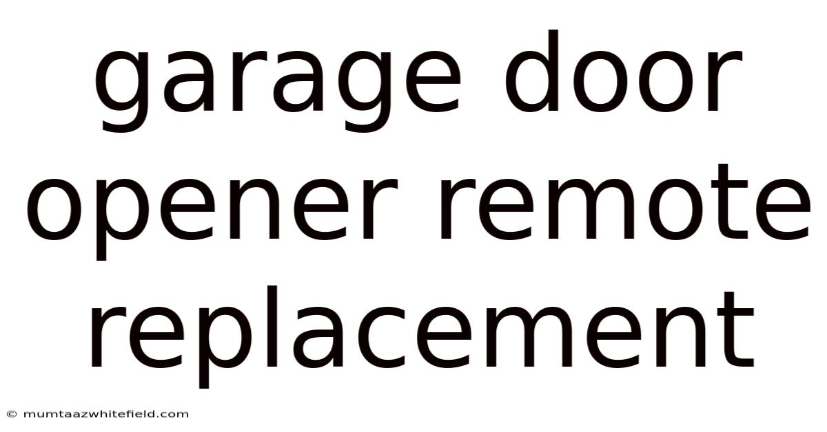 Garage Door Opener Remote Replacement