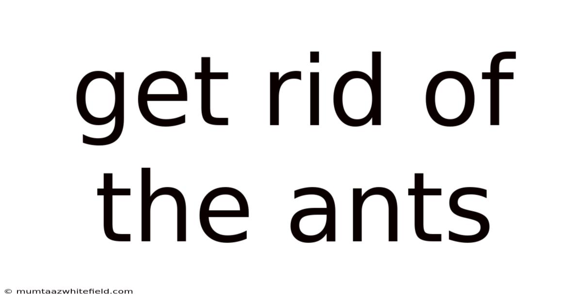 Get Rid Of The Ants