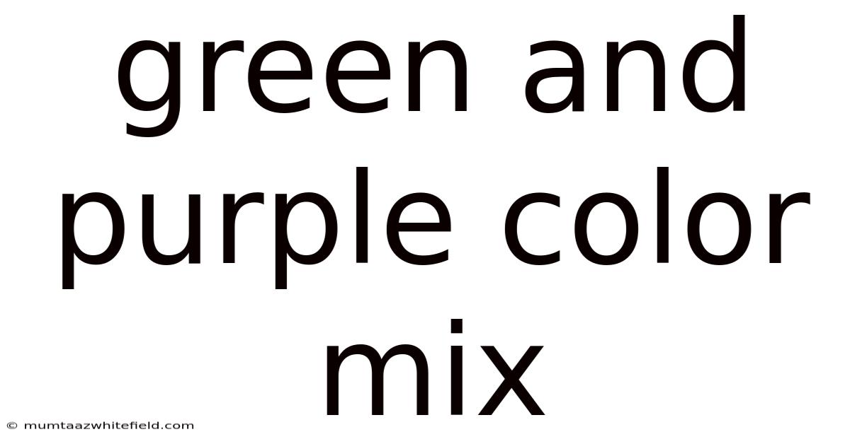 Green And Purple Color Mix