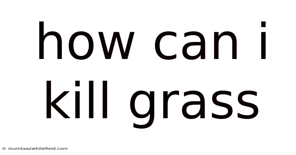 How Can I Kill Grass
