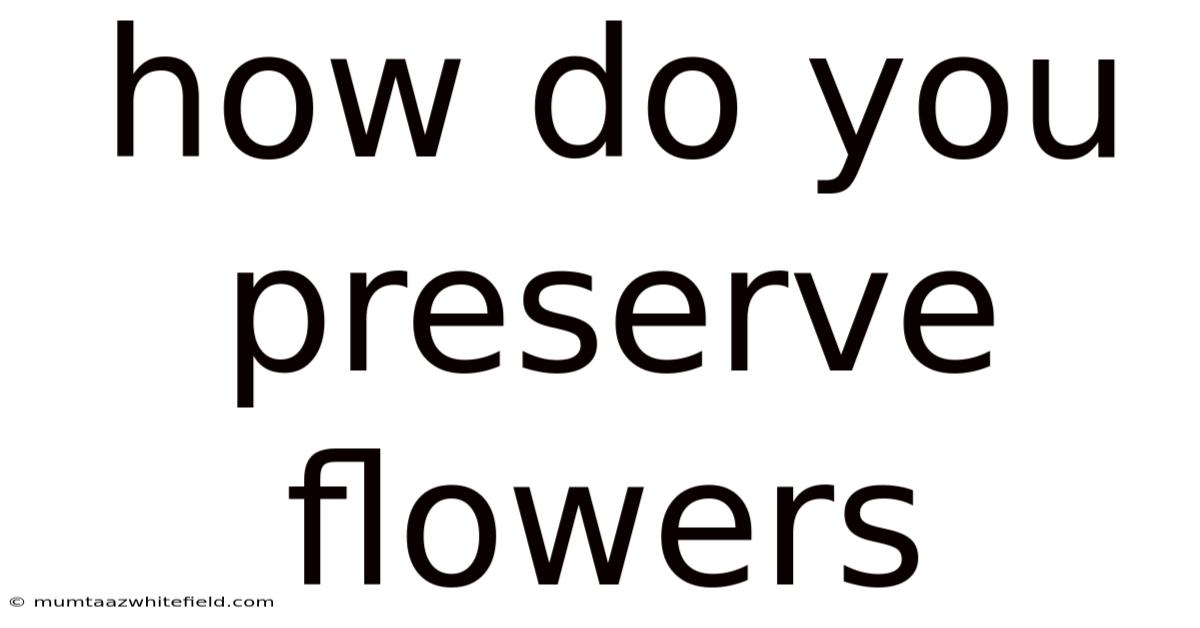 How Do You Preserve Flowers