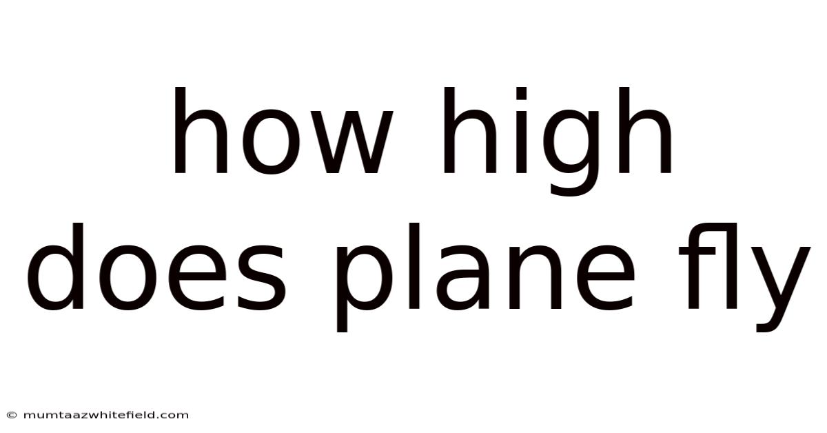 How High Does Plane Fly