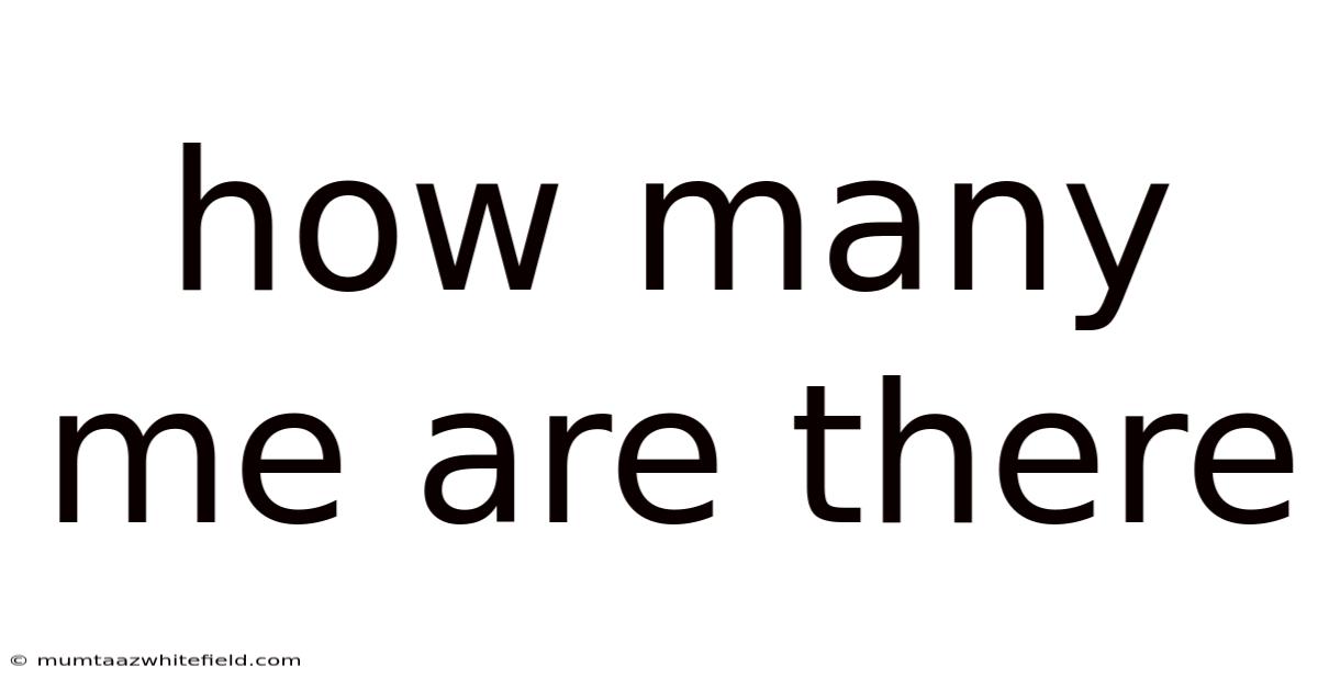 How Many Me Are There