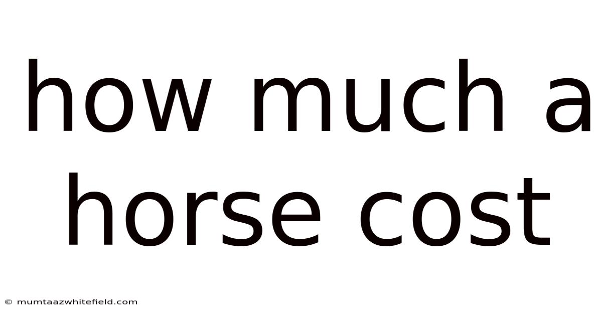 How Much A Horse Cost