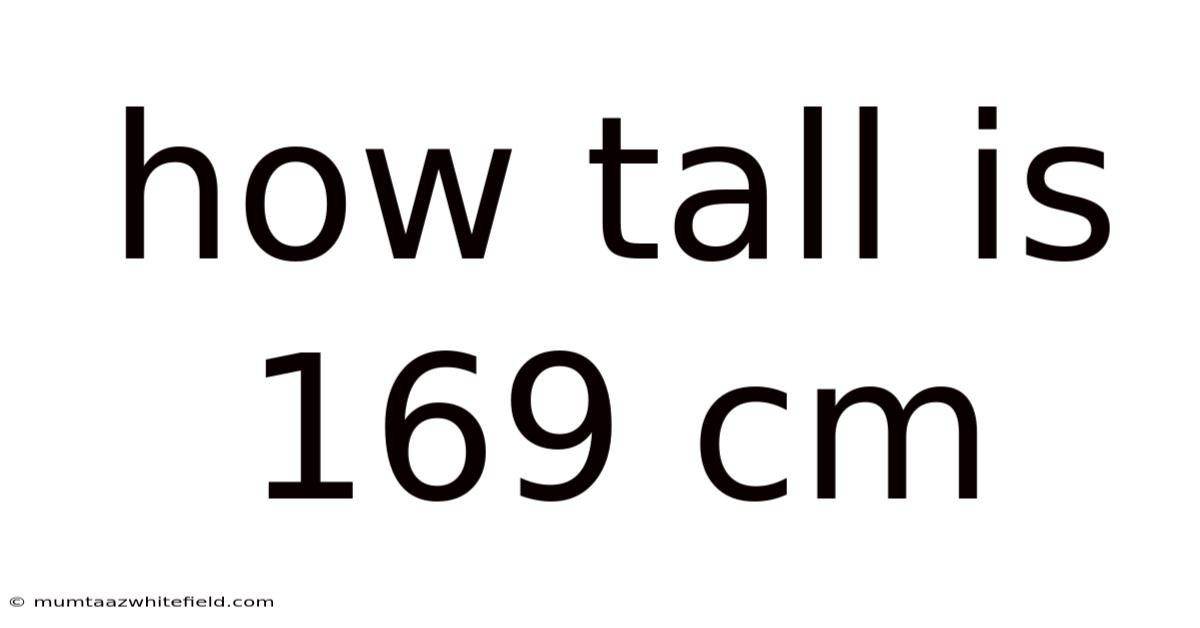 How Tall Is 169 Cm