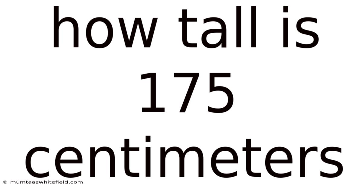 How Tall Is 175 Centimeters