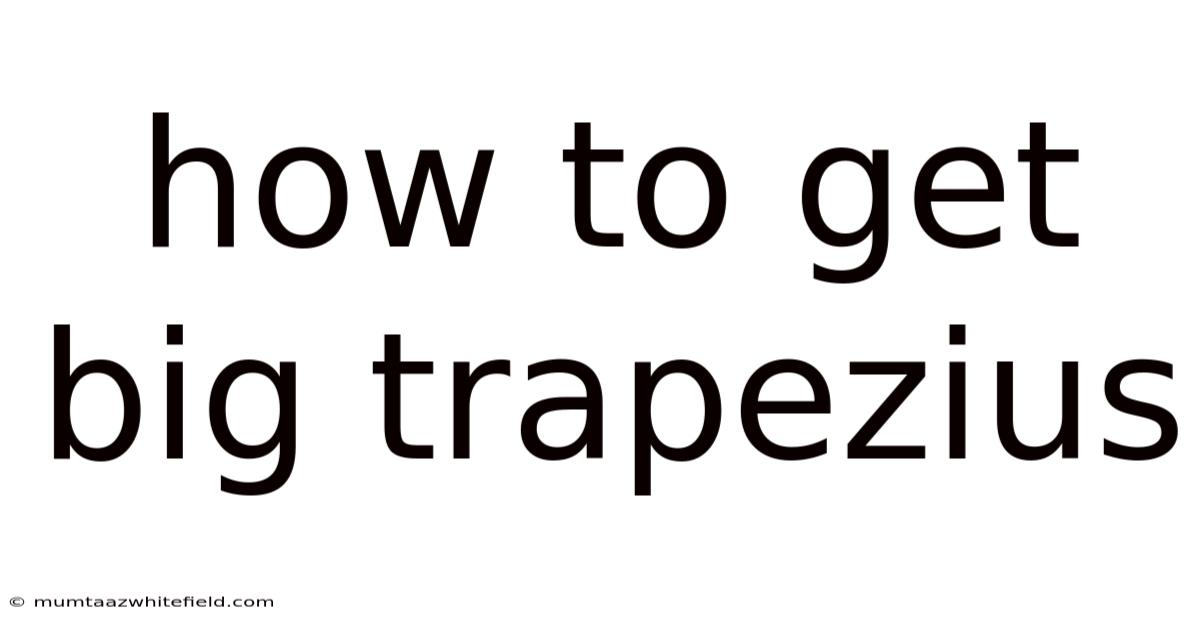 How To Get Big Trapezius