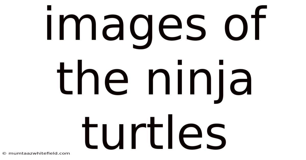 Images Of The Ninja Turtles