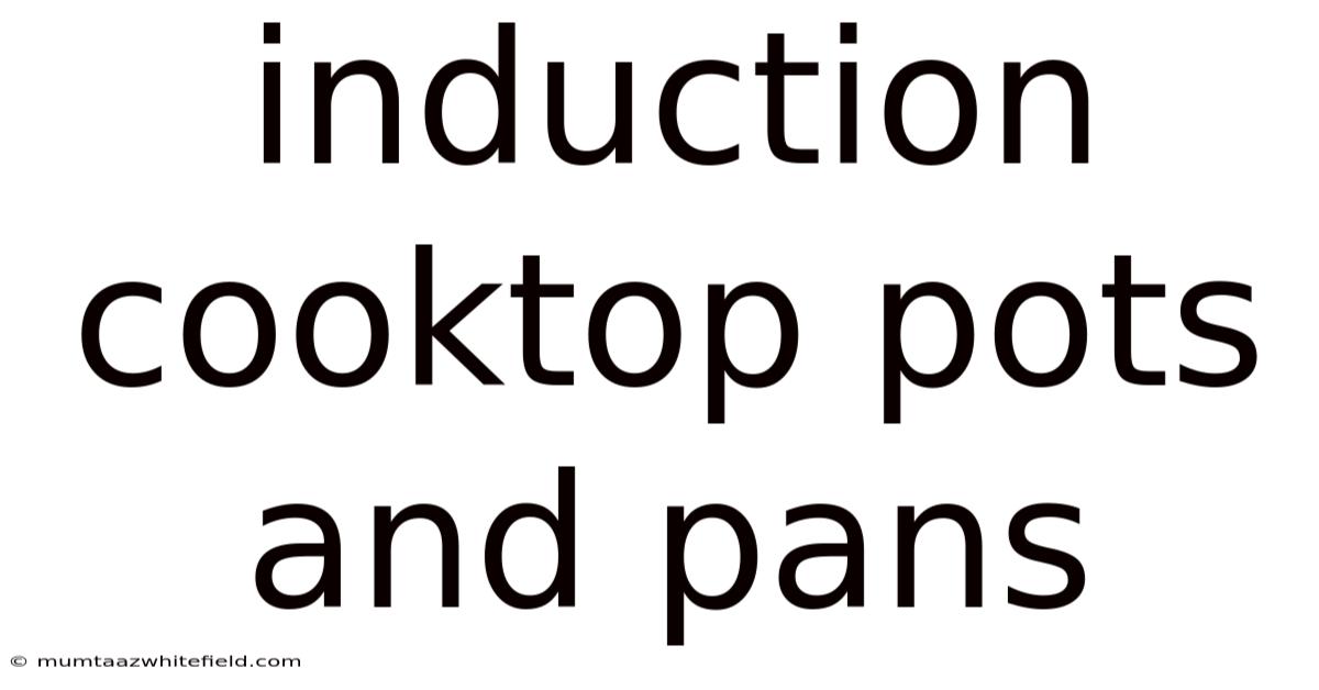Induction Cooktop Pots And Pans