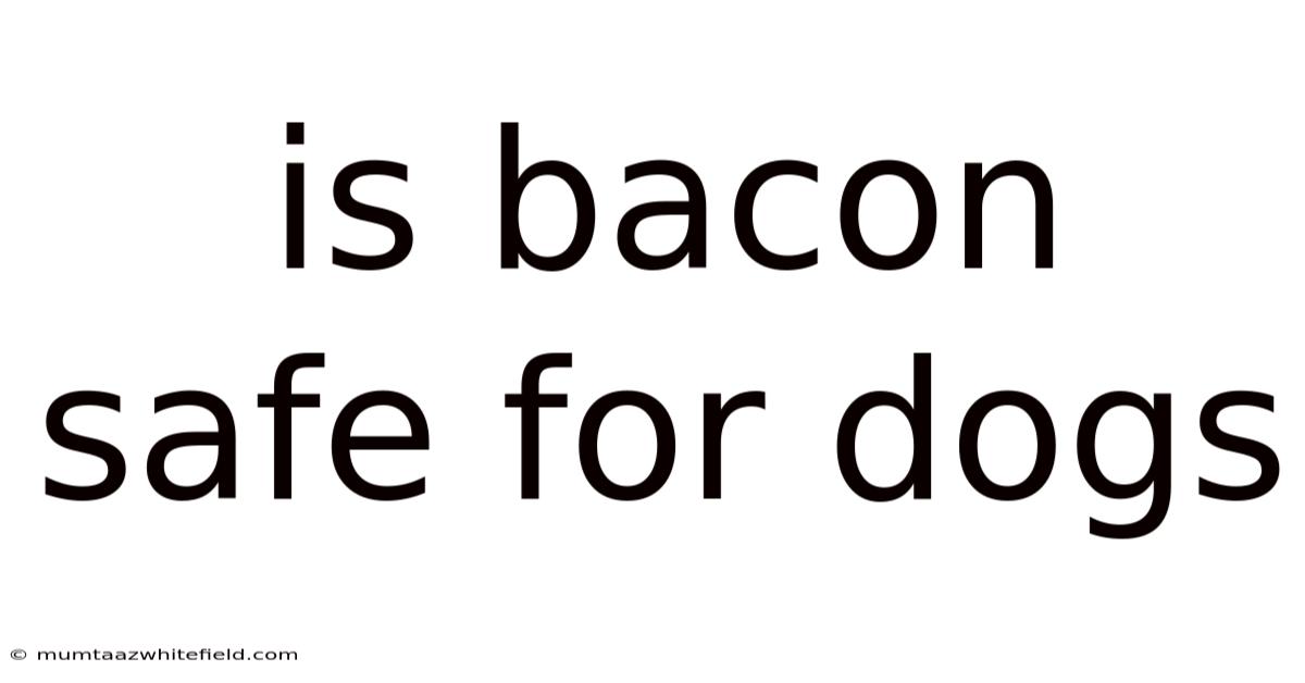 Is Bacon Safe For Dogs