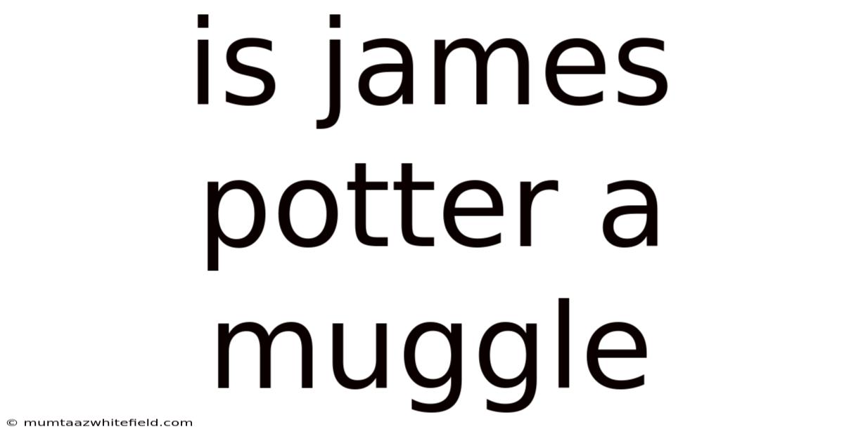 Is James Potter A Muggle