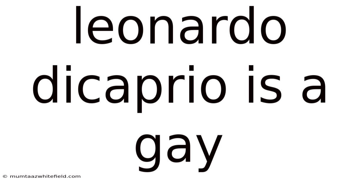 Leonardo Dicaprio Is A Gay