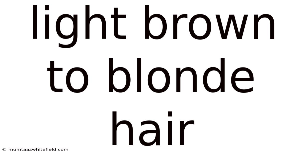 Light Brown To Blonde Hair