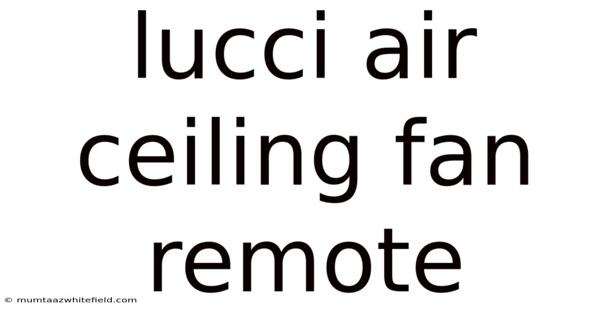 Lucci Air Ceiling Fan Remote