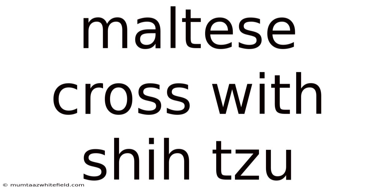 Maltese Cross With Shih Tzu