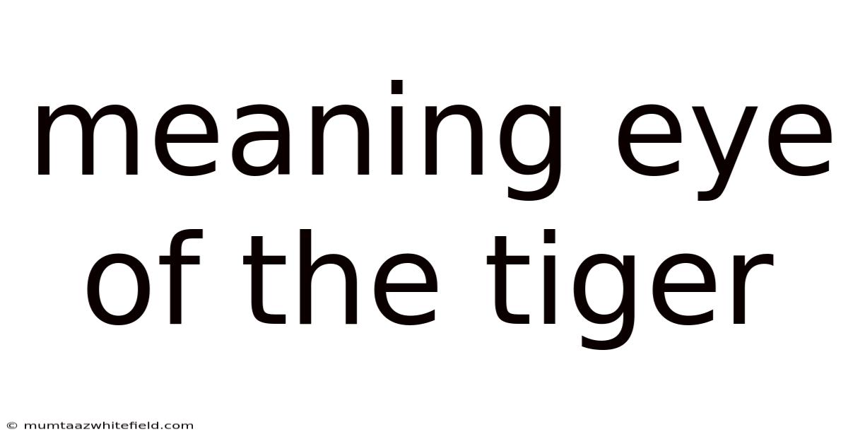 Meaning Eye Of The Tiger