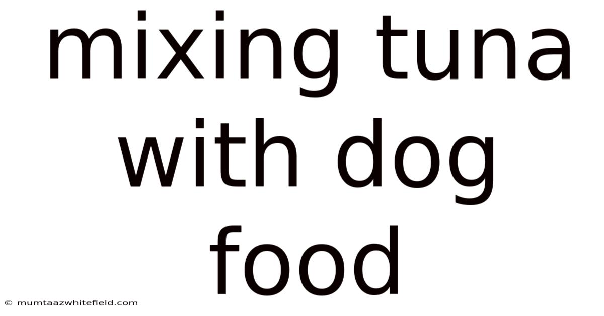 Mixing Tuna With Dog Food