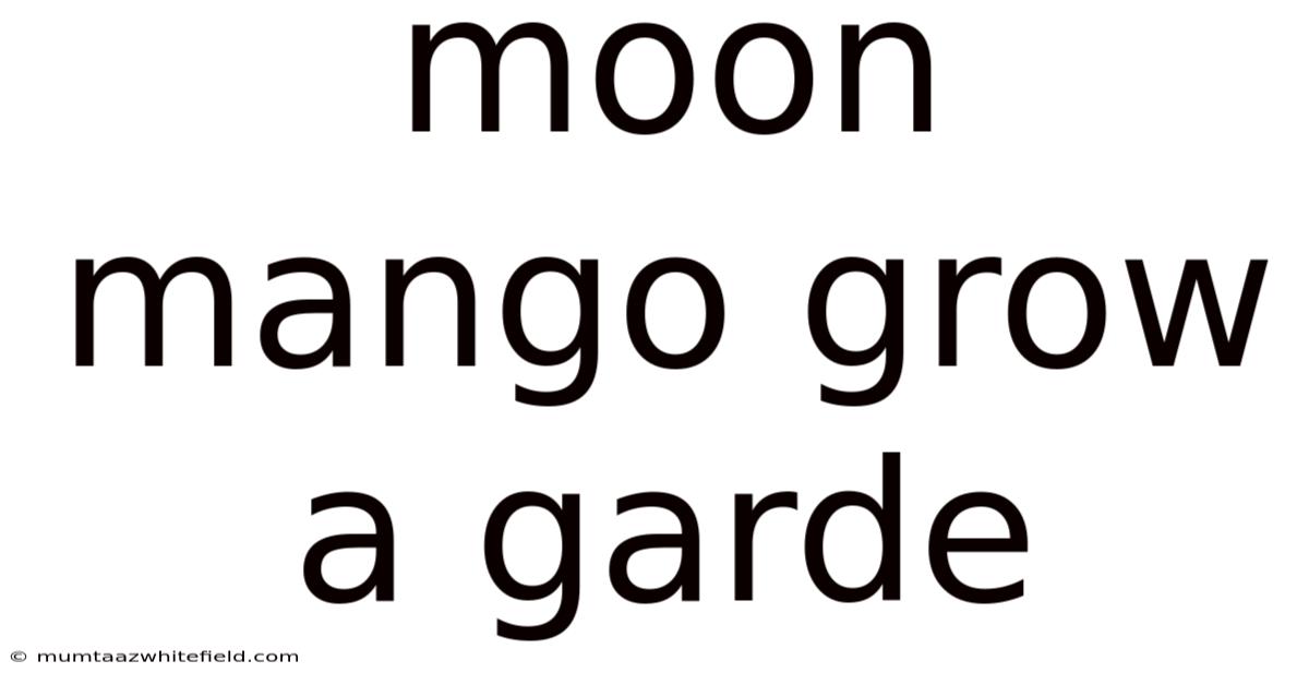 Moon Mango Grow A Garde