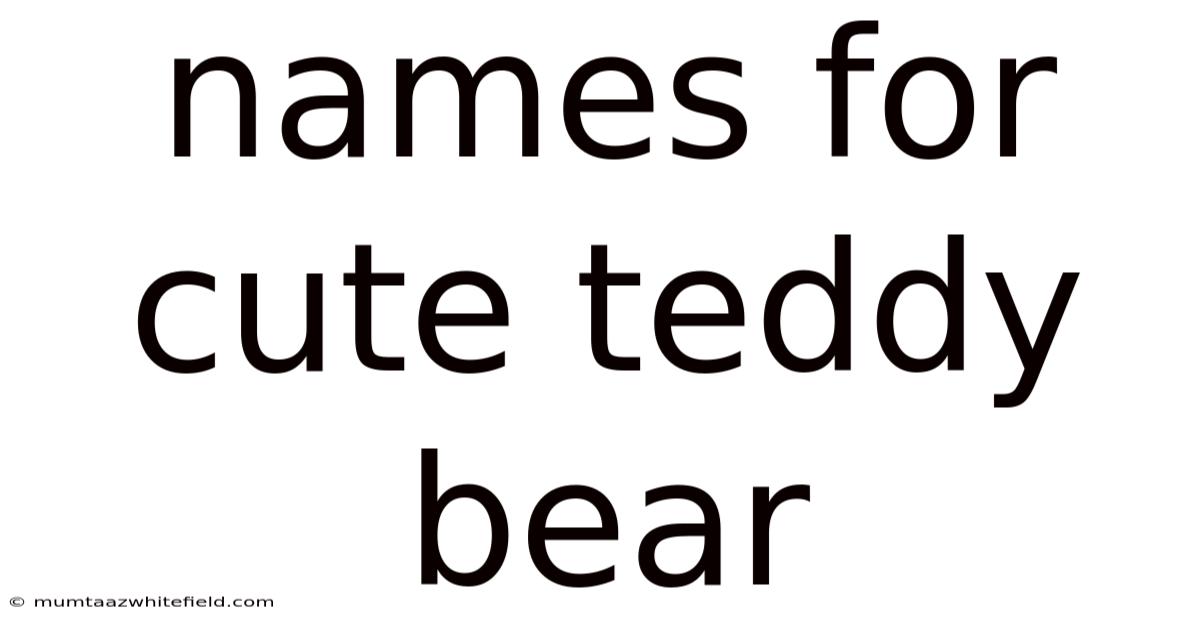 Names For Cute Teddy Bear