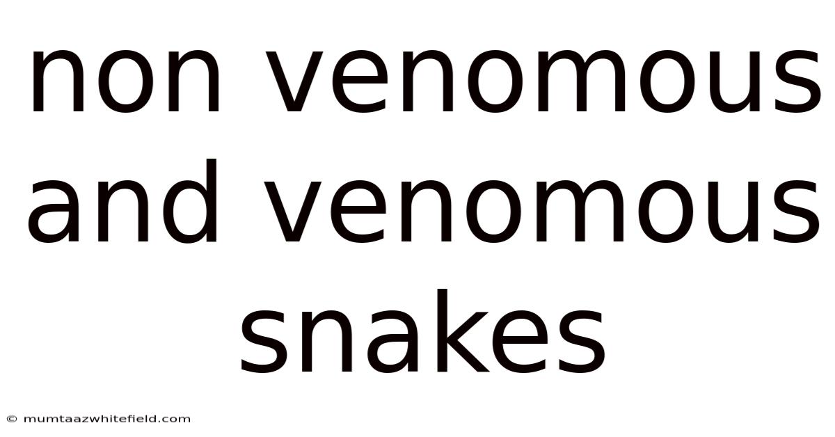 Non Venomous And Venomous Snakes