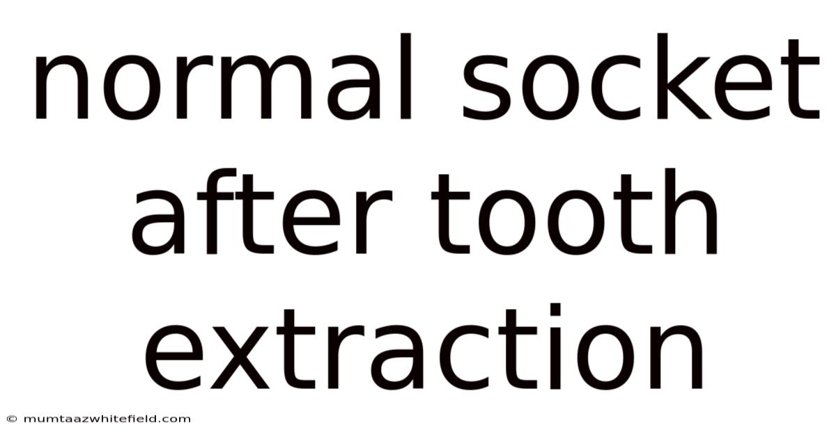 Normal Socket After Tooth Extraction