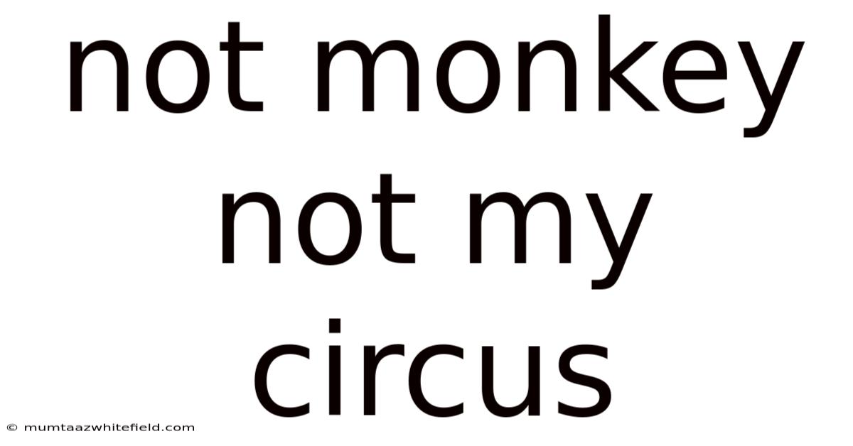 Not Monkey Not My Circus