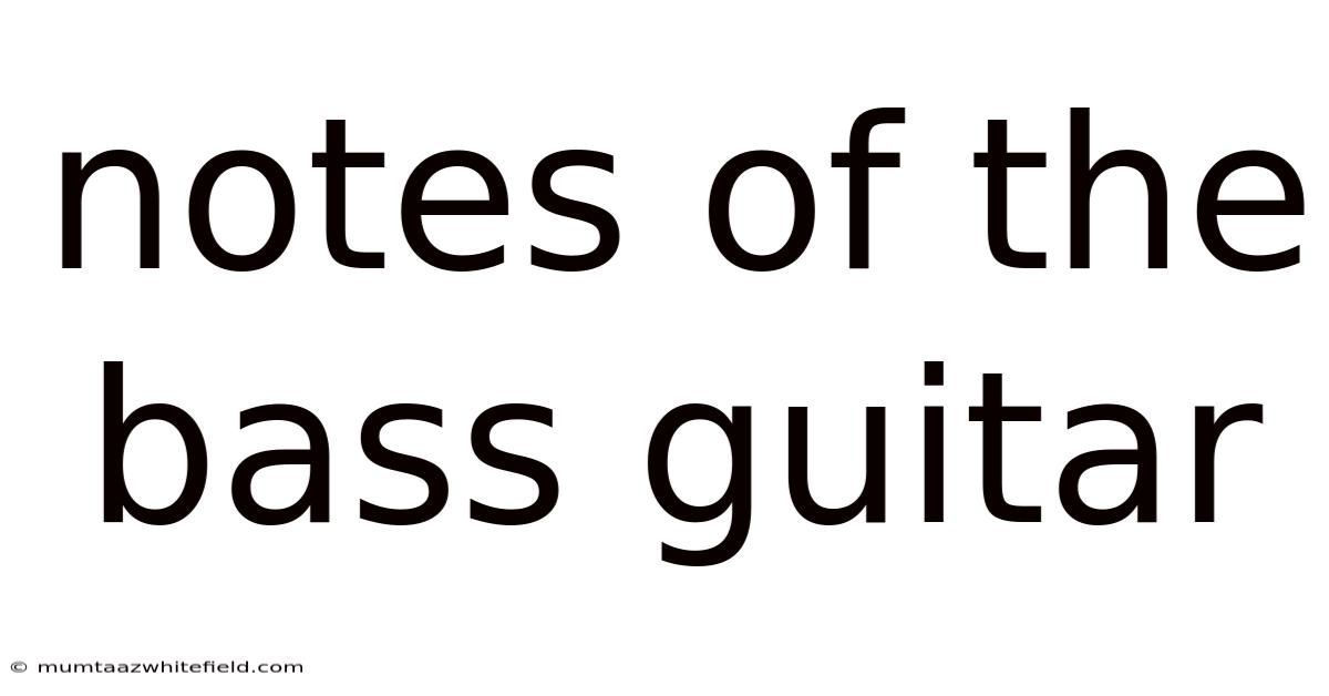 Notes Of The Bass Guitar