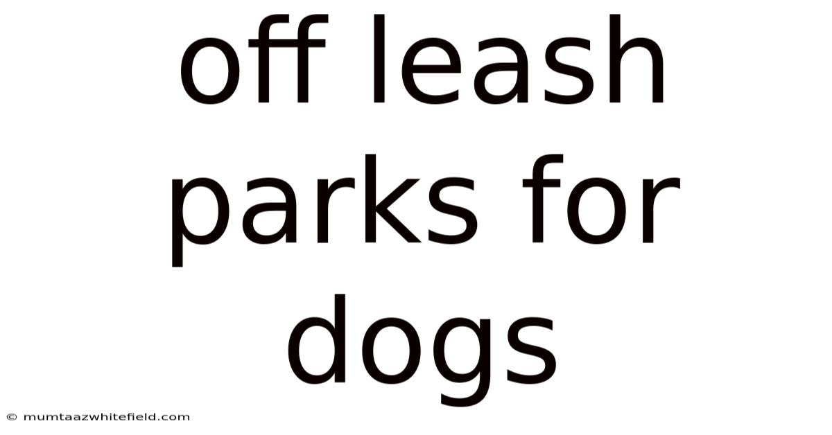 Off Leash Parks For Dogs