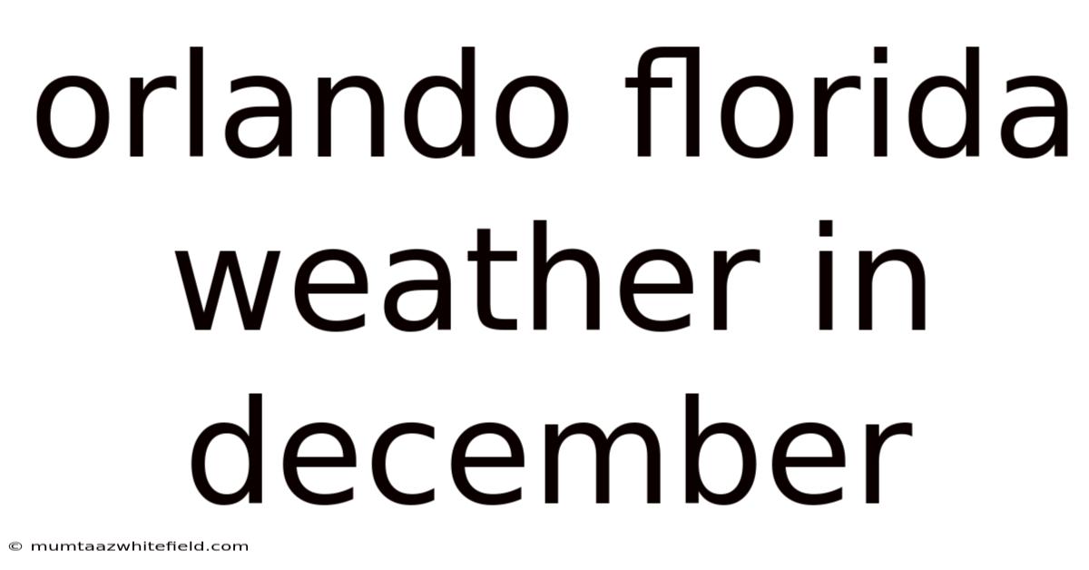 Orlando Florida Weather In December