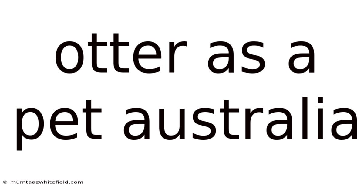 Otter As A Pet Australia
