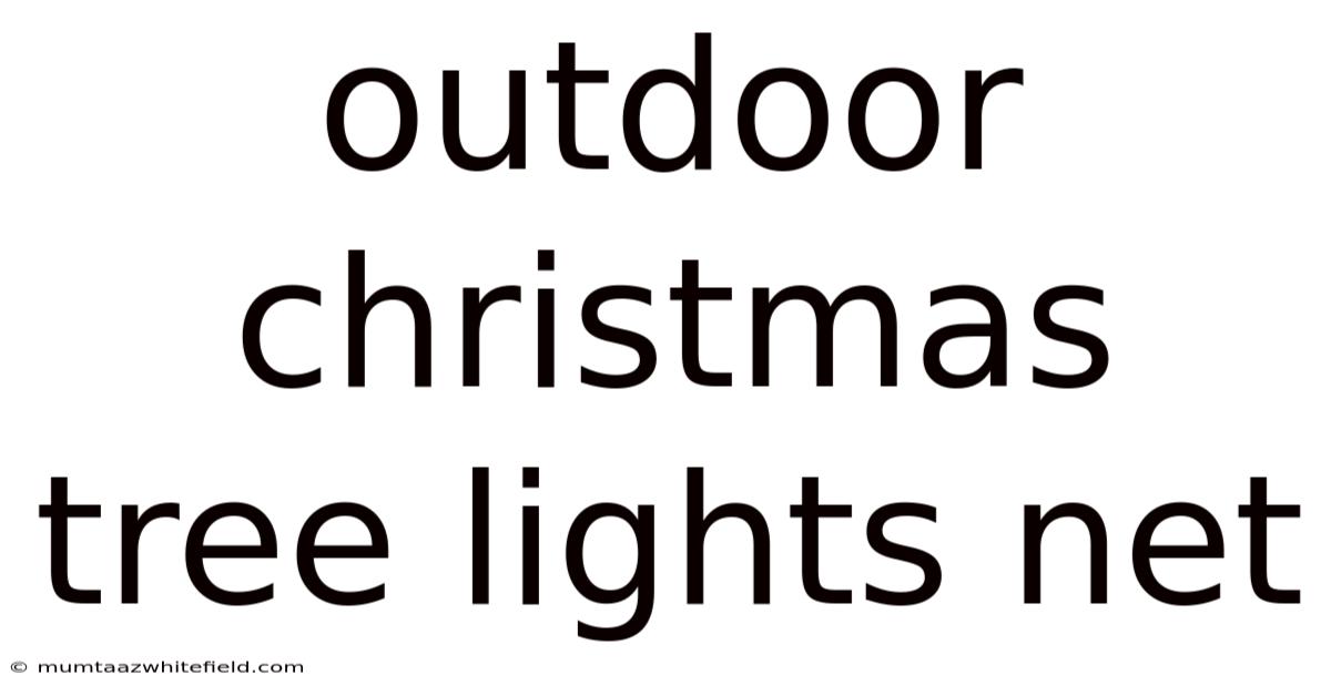 Outdoor Christmas Tree Lights Net