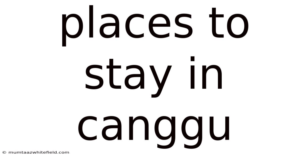 Places To Stay In Canggu