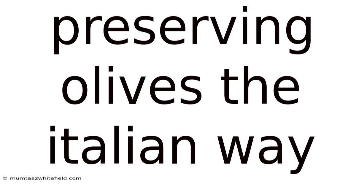 Preserving Olives The Italian Way