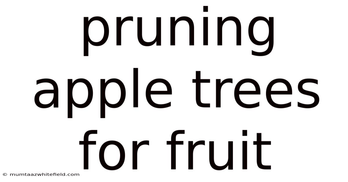 Pruning Apple Trees For Fruit