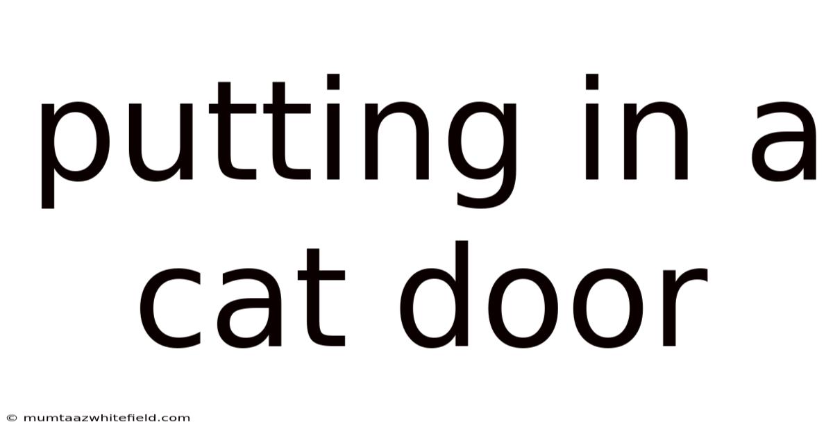 Putting In A Cat Door