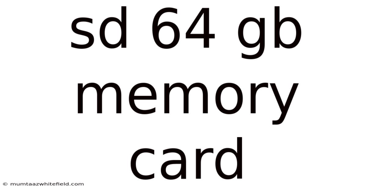 Sd 64 Gb Memory Card