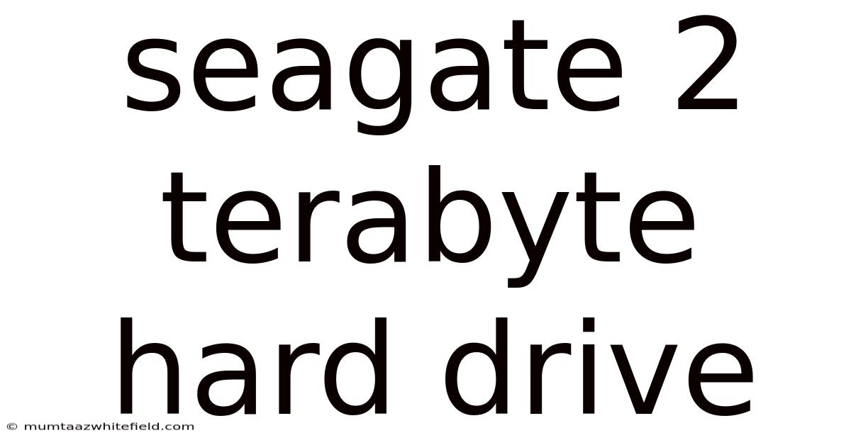 Seagate 2 Terabyte Hard Drive