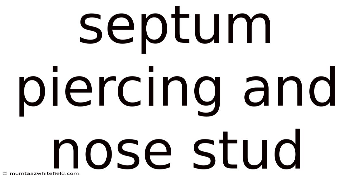 Septum Piercing And Nose Stud