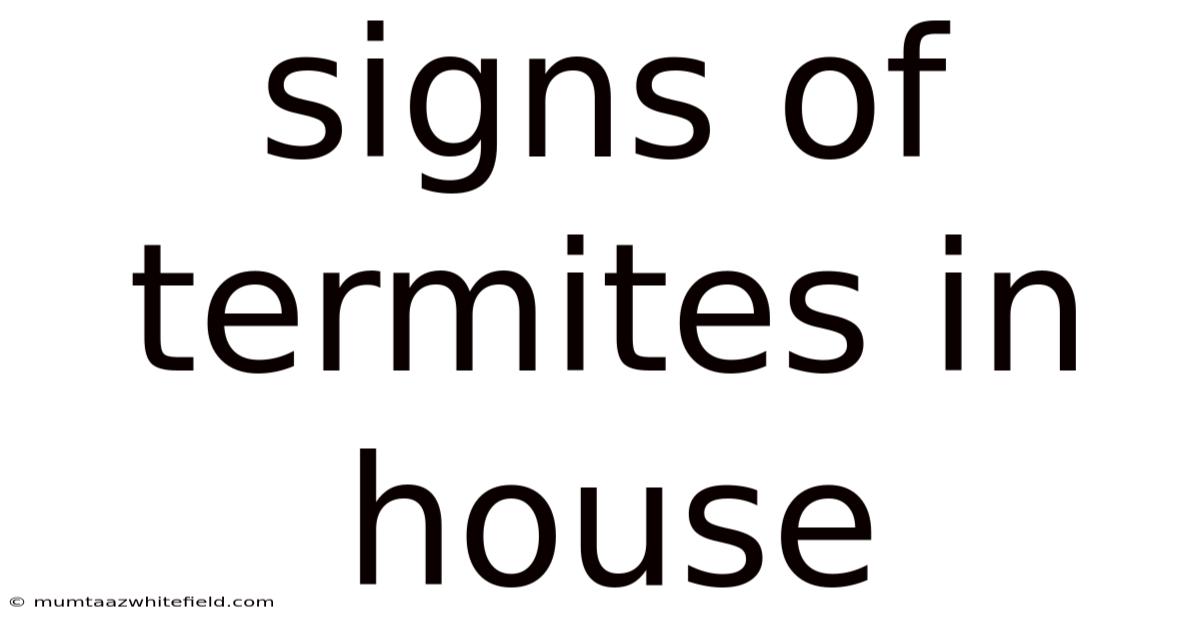 Signs Of Termites In House