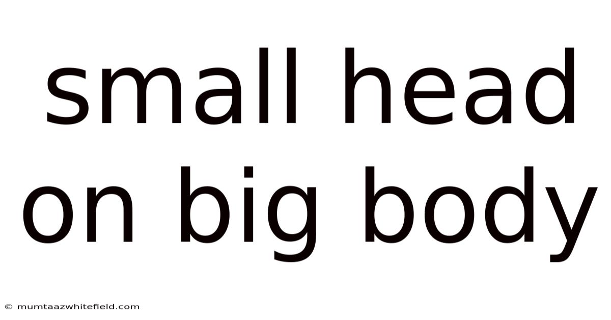 Small Head On Big Body
