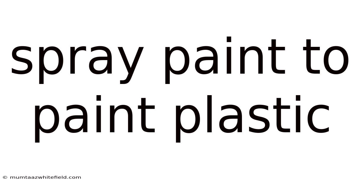 Spray Paint To Paint Plastic