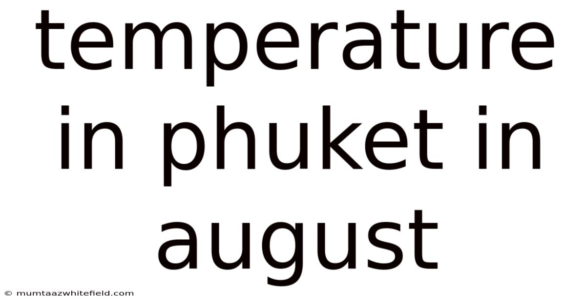 Temperature In Phuket In August
