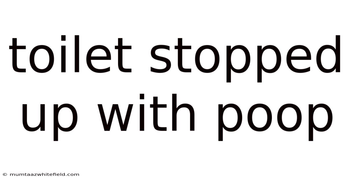 Toilet Stopped Up With Poop